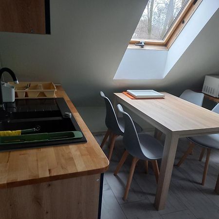 Appartamento Pokoje, Apartament Na Wyspie Danzica Esterno foto